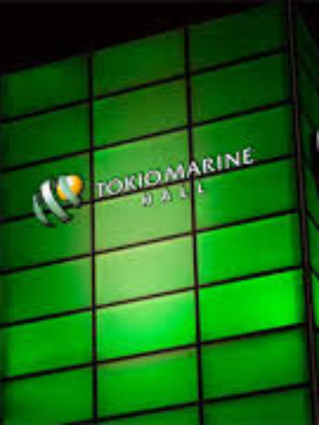 Tokio Marine celebra expansão no seguro de automóveis